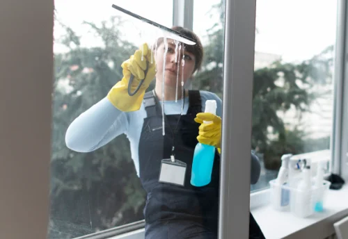 Nettoyage de vitres intérieures et extérieures à Gastes